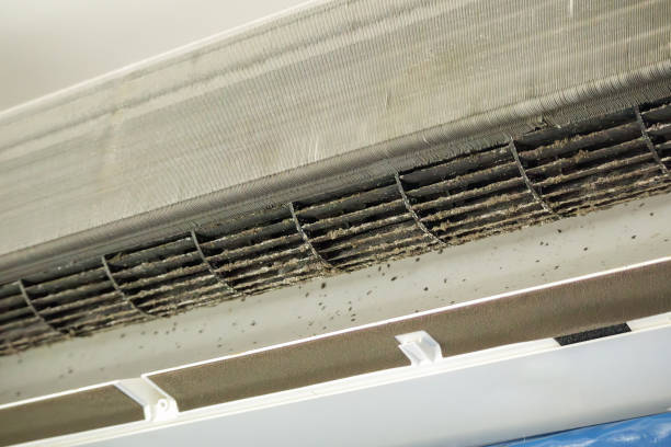 Best Affordable HVAC Duct Cleaning  in Harrisburg, OR